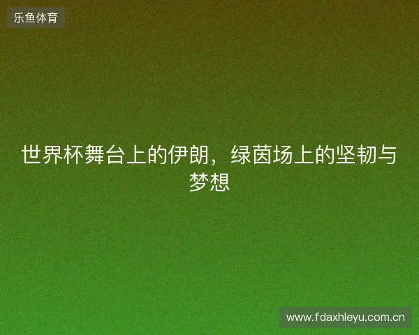 世界杯舞台上的伊朗，绿茵场上的坚韧与梦想